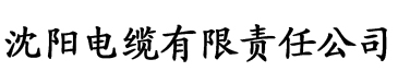 小雪和养父一起在公交车上的爽文电缆厂logo